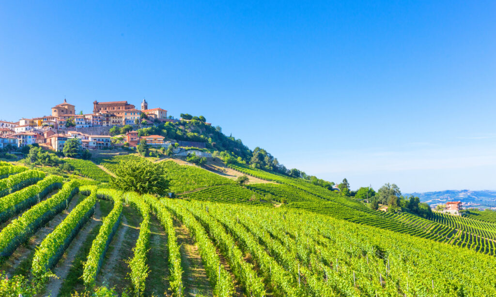 Famous wine region La Morra in Italy