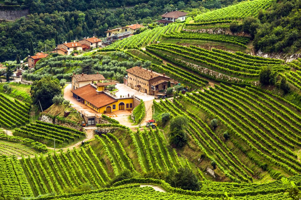 Valpolicella Italian winery and grape hills, Veneto, Italy