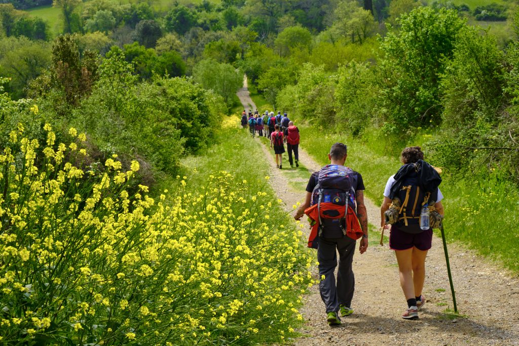 Group of people hiking in the nature of Tuscany, Italy.