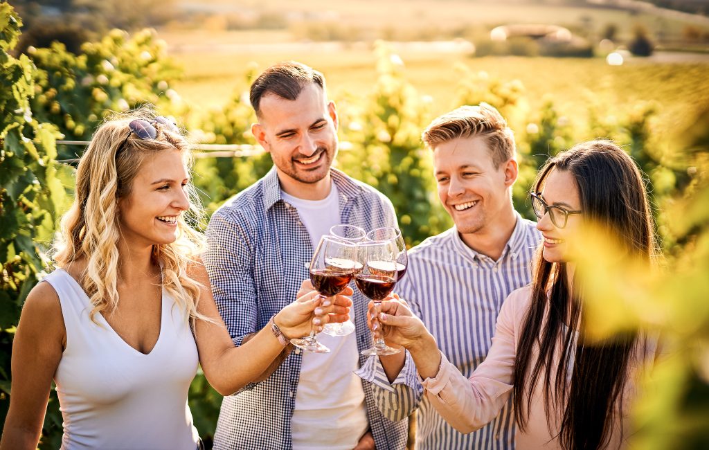 Young friends having fun outdoors with red wine at the vineyard, celebrating.