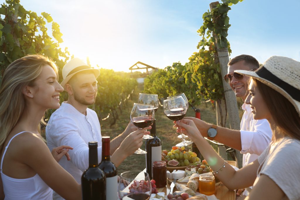 A group of people or a team sitting at a table in a vineyard, raising their wine glasses in a toast.