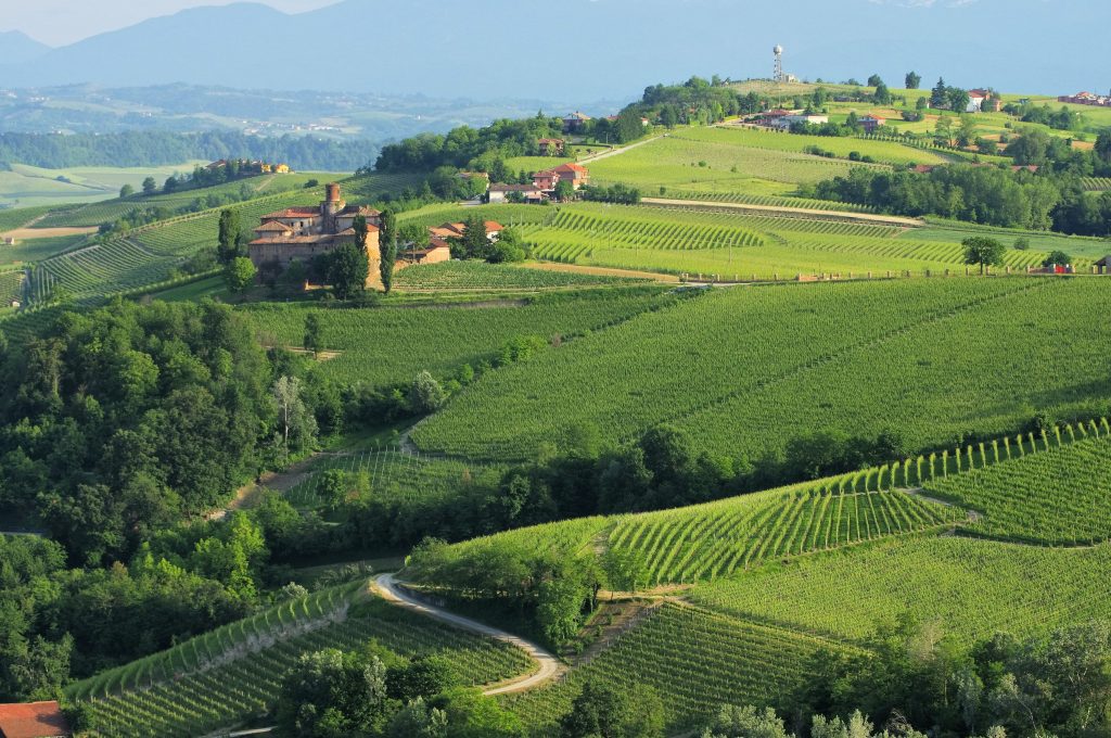 Castello in Tuscany, green landscape.