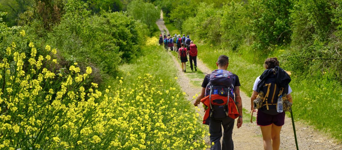 Group of people hiking in the nature of Tuscany, Italy.